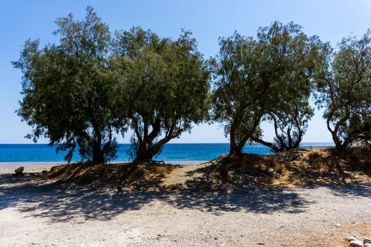 Akra Grammeno Beachfront Villas Palaiochora Exterior foto