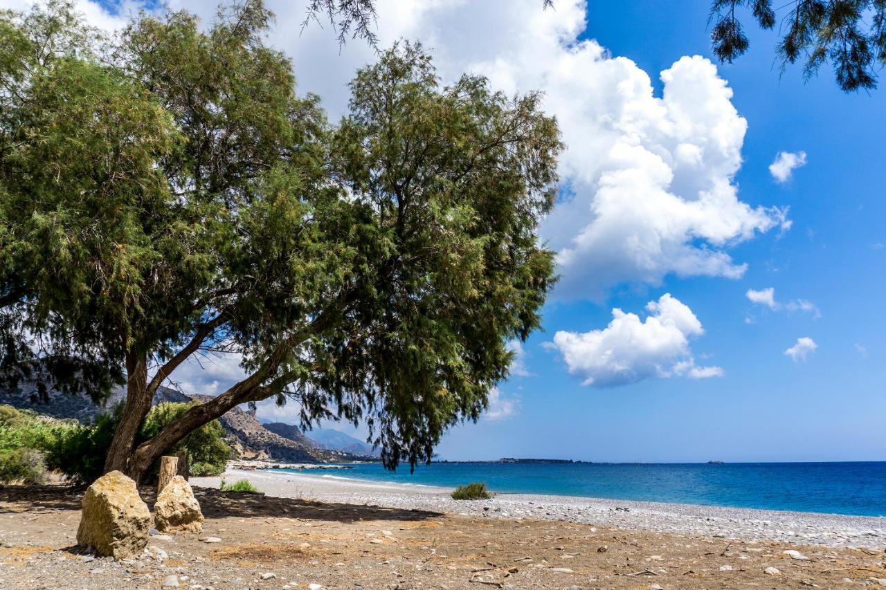 Akra Grammeno Beachfront Villas Palaiochora Exterior foto